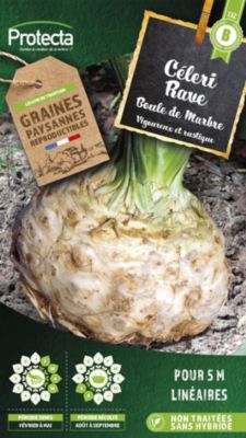 Graine de céleri rave boule de marbre Protecta