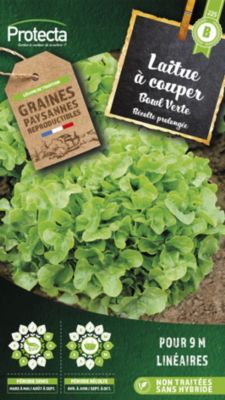 Graine de laitue à couper bowl verte Protecta