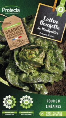 Graine de laitue rougette de Montpellier Protecta