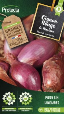 Graine d'oignon rouge de Simiane Protecta