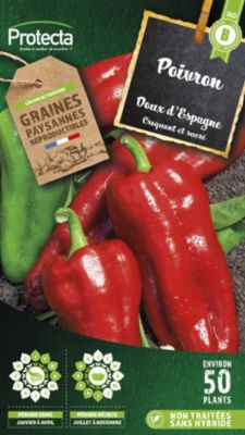Graine de poivron doux d'Espagne Protecta