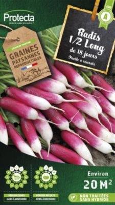 Graine de radis 1/2 Long de 18 jours Protecta