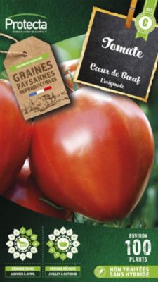 Graine de tomate cœur de bœuf Protecta