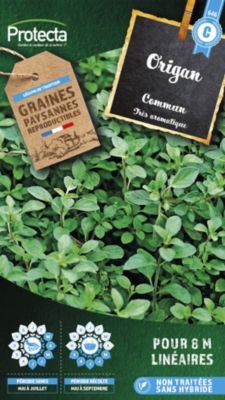 Graine d'origan commun aromatique Protecta