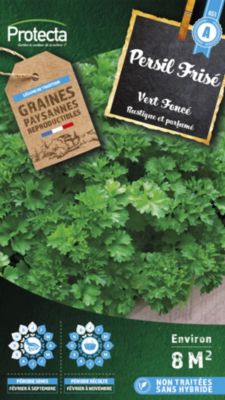 Graine de persil frisé vert foncé Protecta