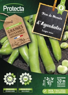Graine de Fèves des marais d'Aguadulce à longue cosse Protecta