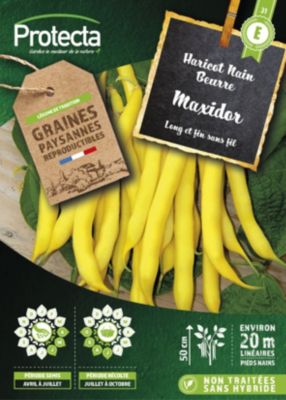Graine d'haricot nain beurre fin et sans fil maxidor Protecta