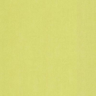 Papier peint papier sur papier 1ER PRIX Concept uni vert