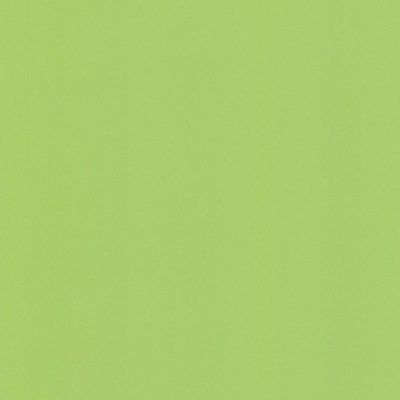 Papier peint expansé Vert  Castorama