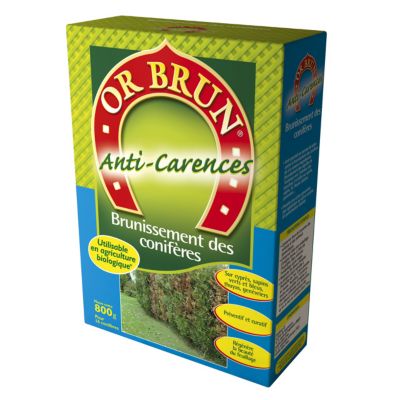 Anti brunissement des conifères Or Brun 800g