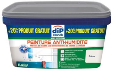 Peinture Anti Humidité Castorama
 - Peinture Anti Humidite Dip Creme 2 5l 20 Castorama