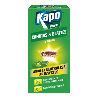 Fumigateur punaise de lit