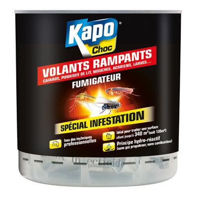 Fumigateur punaise de lit