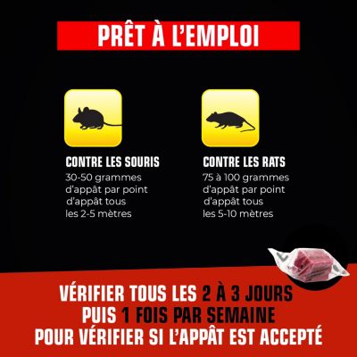 3365000032459 BLOCS RATS SOURIS