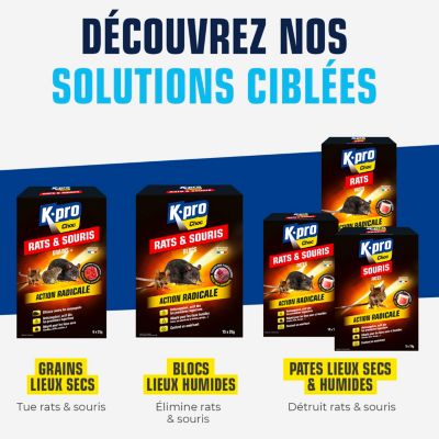 3365000032459 BLOCS RATS SOURIS