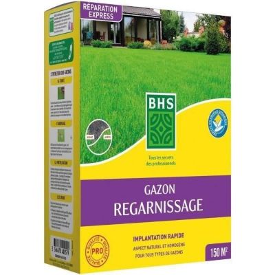 Gazon - BHS - Gazon Regarnissage 3kg