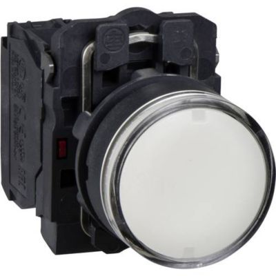 Schneider Electric XB5AW31B5
