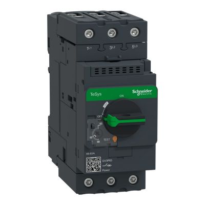 Schneider Electric TeSys GV3P65