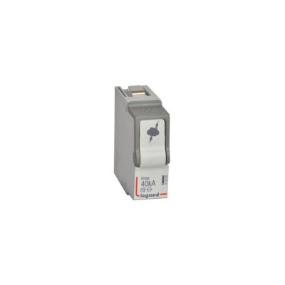 412300 Legrand Cartouche Pour Parafoudre Unipolaire De Type 2 40ka