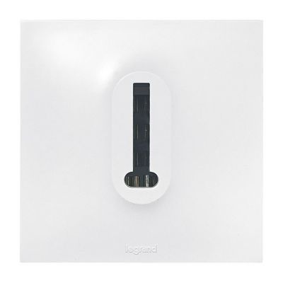 Prise de téléphone Legrand Neptune