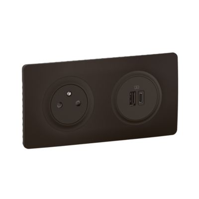 Mécanisme de prise avec et double prise USB AC Legrand Céliane