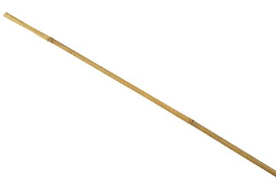 Tuteur pour plante en bambou H.210 cm