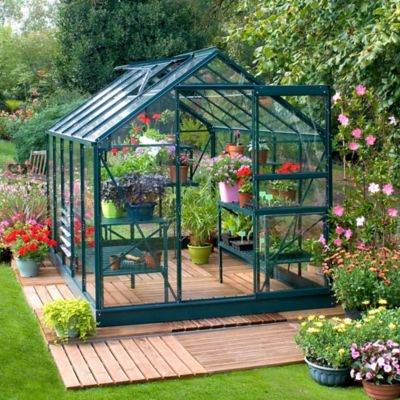 LAMS  Serre de jardin en verre tremp&eacute;  7,3 m&sup2; - Allium vert