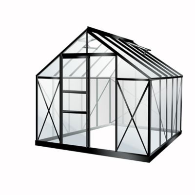 Serre de jardin Lams Carvi en aluminium laqué gris anthracite et verre trempé L.2 55 x l.3 17 x H.2 36 m surface 8 10 m²