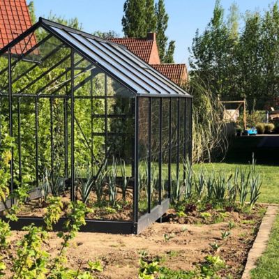 LAMS Serre en verre  Allium anthracite 7,30m&sup2;