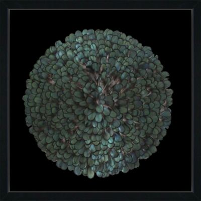 Vitrine plumes 60 x 60 cm CM Creation