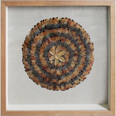 Vitrine décorative Plumes noires et rousses L.60 x l.60 cm