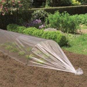 Film primeur perforé Verve 2 x 5m