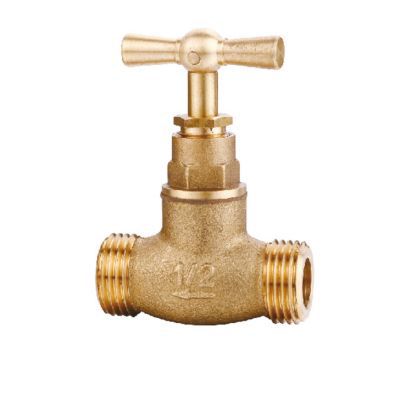 Robinet d'arrêt mâle mâle 20/27 Diall