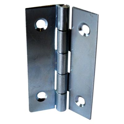 2 charnières acier zingué Diall 25 x 18 mm