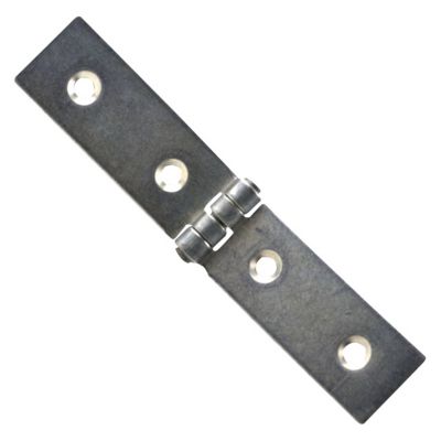 2 charnières de lit acier zingué Diall 22 x 100 mm