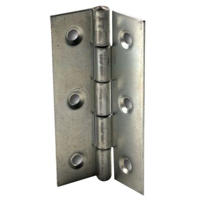 2 charnières Inox Diall 80 x 45 mm