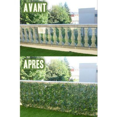 Haie de bambou L.3 x H.1 m