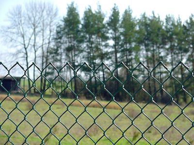 Grillage simple torsion vert 30 x 30mm  L.10 x h.1 m