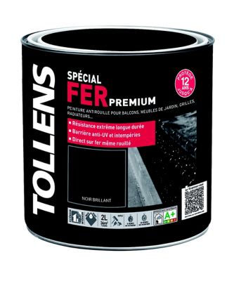 Peinture extérieure et intérieure fer noir brillant Tollens 2L