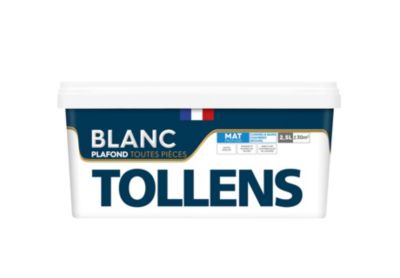 Peinture Tollens plafond toutes pièces 2,5L