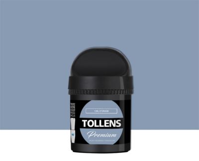 Testeur peinture Tollens premium murs, boiseries et radiateurs ciel d'orage mat 50ml
