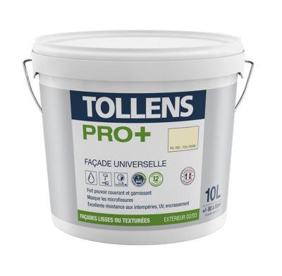 Peinture Facade Universelle Tollens Pro Pierre 10l Castorama