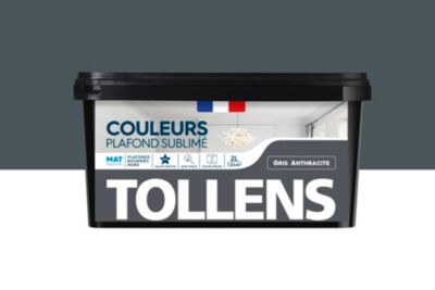 Peinture Plafond Sublimé Tollens mat gris anthracite 2L