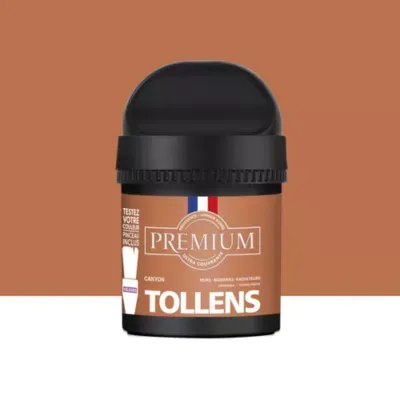 Peinture Tollens premium murs, boiseries et radiateurs marron canyon velours 50ml