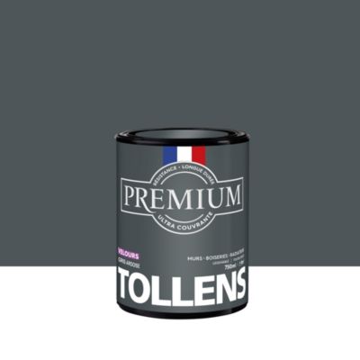 Peinture Tollens premium murs, boiseries et radiateurs gris ardoise velours 750ml