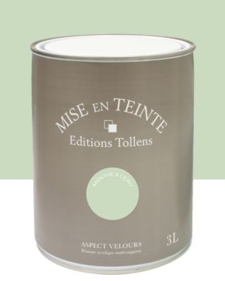 Peinture Tollens Mise en teinte murs, meubles et boiseries vert menthe à l'eau 3L