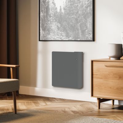 Radiateur électrique fonte + film Carrera Amara 1000W gris