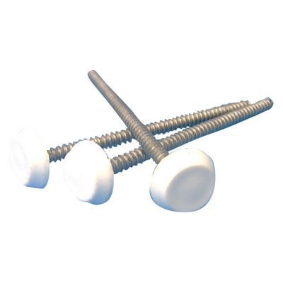 Lot de 25 pointes 2.5 x 50 inox tête blanche