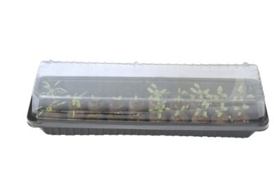 Mini serre allongée Jany H. 13,5 cm x L. 57,5 cm