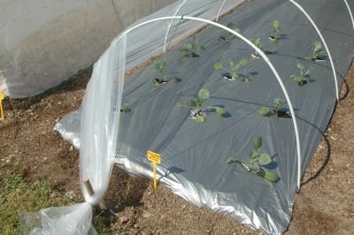 Kit arceau Jany PVC de 3 sections de 80 cm + 2 raccords